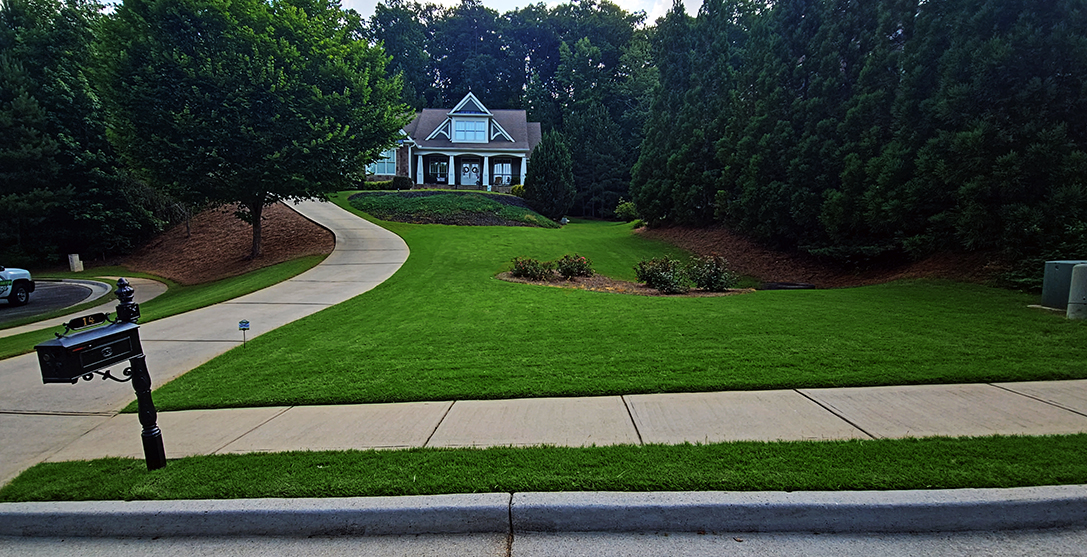 Weed control lawn treatments white ga